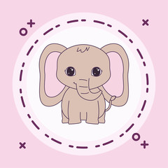 cute elephant animal with frame circular