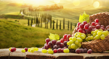 Grapes In A Basket On A Wooden Background. Harvesting
