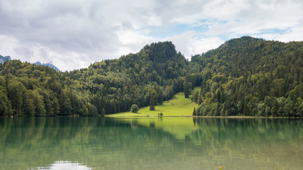 Lake with Forest in the Background