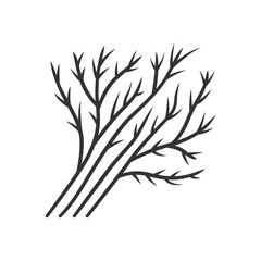 Dill leaves color icon