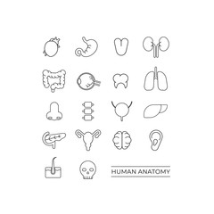 black human anatomy icons