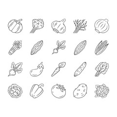 Vegetables linear icons set