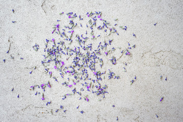Lavender flowers petals on concrete background. Flat lay, top view, close-up. Copy space.