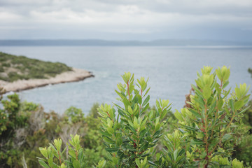 Blick über Bucht von Pelješac in Kroatien