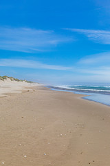 Fototapeta na wymiar A sandy beach on the Oregon coast, on a sunny summers day