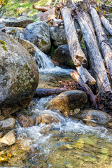 Troncos en el arroyo Solana Toro. Valle de Iruelas. Avila. España. Europa.