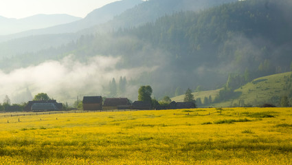 grass, field, green, nature, sky, summer, agriculture, plant, blue, wheat, meadow, spring, landscape, sun, farm, crop, rural, countryside, cloud, growth, water, cereal, grain, clouds, yellow?hut, morn