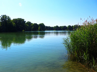 Beautiful view of Garchingersee Bavarian lake in summer