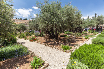 Nice view of garden Gethsemane