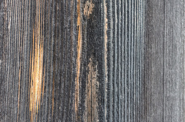 natural pattern on natural wood Board texture
