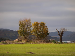 Paisajes de España montaña