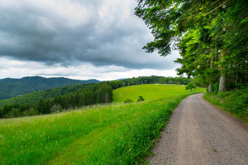 Landschaft und Berge oberhalb von Nordrach im Schwarzwald