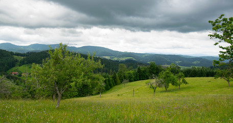 Fototapeta na wymiar Landschaft und Berge oberhalb von Nordrach im Schwarzwald