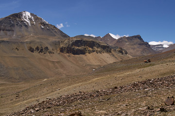 Fototapeta na wymiar Manali to Leh mountain highway in India. Winding road running through barren snow peaked mountains.
