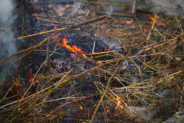 Burning dry grass with smoke