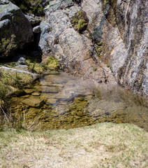 spring water in the mountains