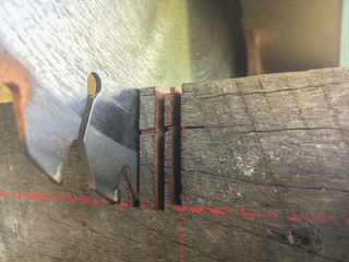 Circular Saw at marking on wood. Carpenter Using Circular Saw for wood