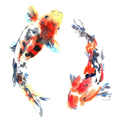 Koi fish. Watercolor design. Asian style. Illustration - 274284906