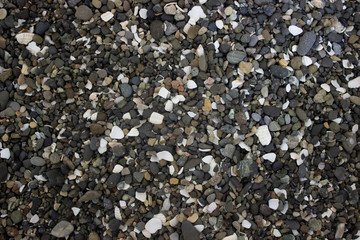rocks