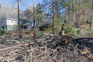 Storm Downed Tree Shatters Into a Pile of Debris