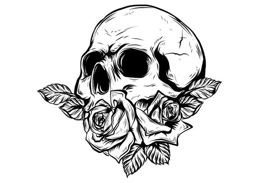 Human skull with roses drawn in tattoo style Vector Image