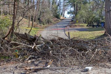 Trees, Streetlight and Electric Wires Cover a Street After a Storm