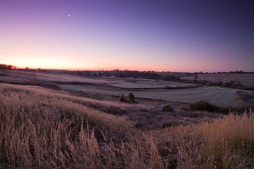 Obraz na płótnie Canvas field before sunrise