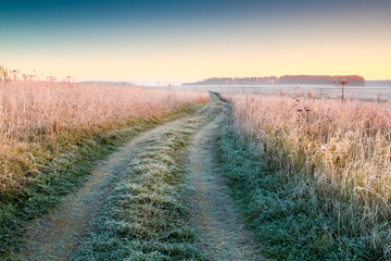 Naklejka premium road in the field
