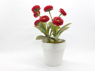 Red Flowers Green Leaves Plant with Ceramic Pot in White Isolated Plant