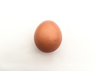 One egg on a white background