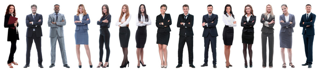 Young attractive business people - the elite business team