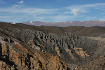 landscape in the desert