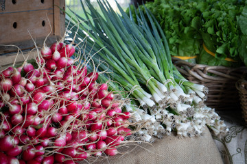 This is a group of lettuce, green onions, and radishes that have been freshly harvested and for sell at a local market.