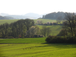 Country green Fields at sunset in spring