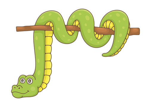 Snake. isolated on white background