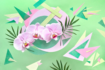Orchid flowers on geometric background with copy-space, foral paper background in pink and mint