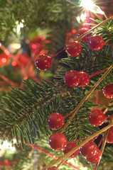 Red holiday and Christmas ornament hanging from the tree surrounded by lights.