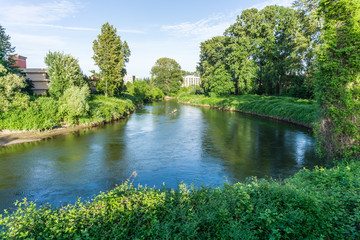 Green River Reflected Trees 3