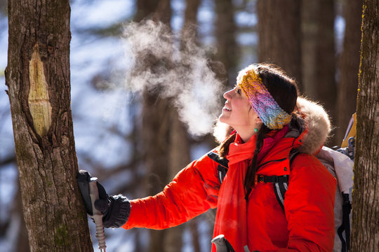 A woman enjoys the evergreens along Hurricane Mountain Road while hiking to Black Cap Mountain on a very cold and scenic day in the Green Hills Preserve near North Conway, New Hampsire. The proper trailhead starts at the summit of Hurricane Mountain Road but the road is closed in the winter adding roughly 1.75 miles to the 1.1 mile hike/snowshoe to the scenic summit for a total of 5 3/4 miles round trip.