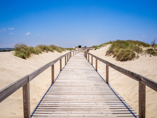 Fototapeta na wymiar Wooden walkway over the sand dunes to the beach