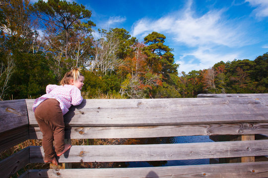 Ruby Skye Reynolds exploring the boardwalks on the ADA Trail during a group playdate with Outer Banks homeschoolers in the Nags Head Woods Preserve.
