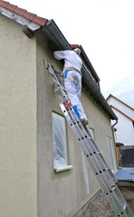 Rear view of a painter standing on a ladder and stroking the outside wall of a house with a paint roller.