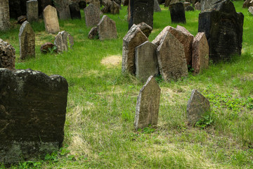 The very old jewish cemetery with a lot of shabby stone tombstones. 