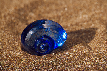 glass tropical sea  shell with waves under sunrise sun light