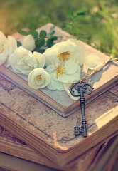 vintage key, old books and white wild rose in summer outdoors. beautiful composition with key and books. Summer reading concept. Reading books with pleasure. inspiration image. 
