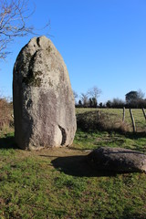 Menhir de la Boilière à Avrillé dans les champs