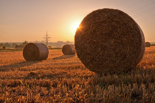 Fields, Ditzingen, Germany: Bales of straw on a field in the early morning light.