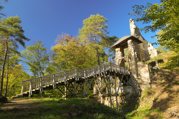 Castle ruin Zlenice near Sazava river, Czech republic