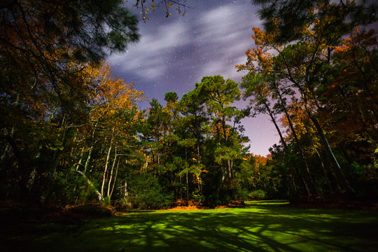 Eerie moon light over the green Lemna-covered ponds in the Nags Head Woods Preserve.