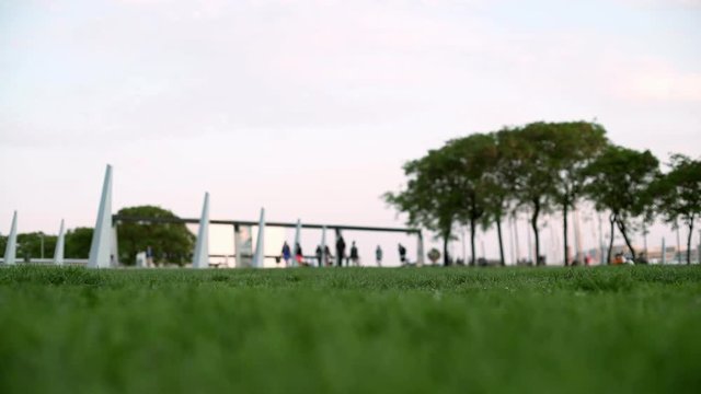 Little dog running around ant trying to catch a freesby. Jack russel. Evening in Barcelona 